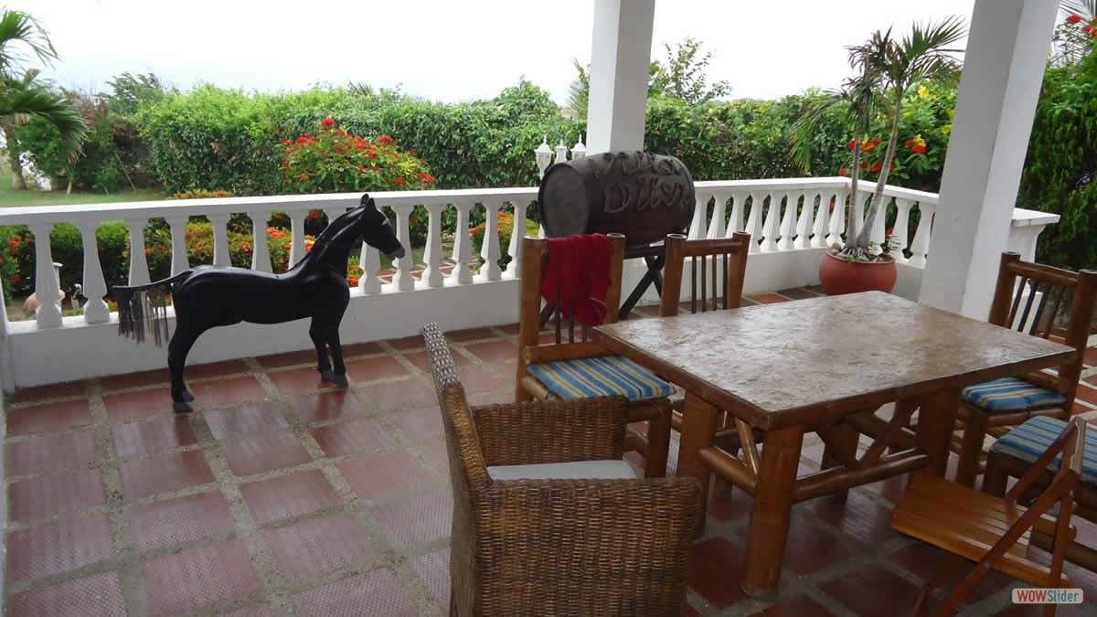 7-terraza
