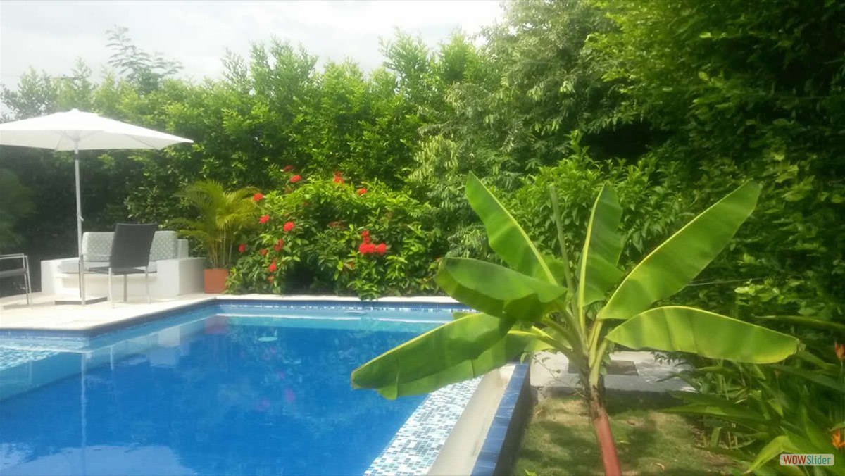 1_piscina_parasol
