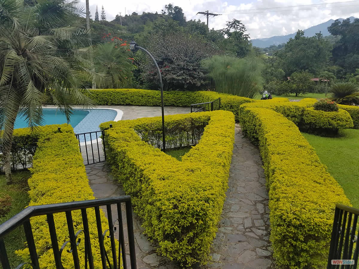4_jardin_2
