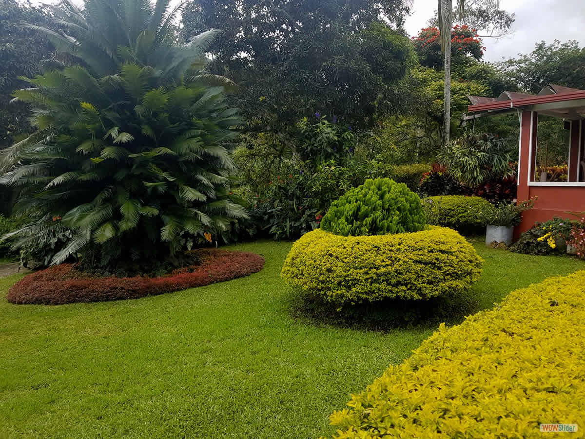 5_jardin