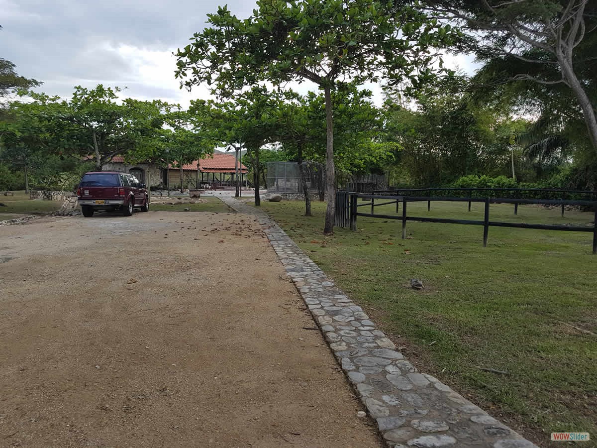 9_entrada