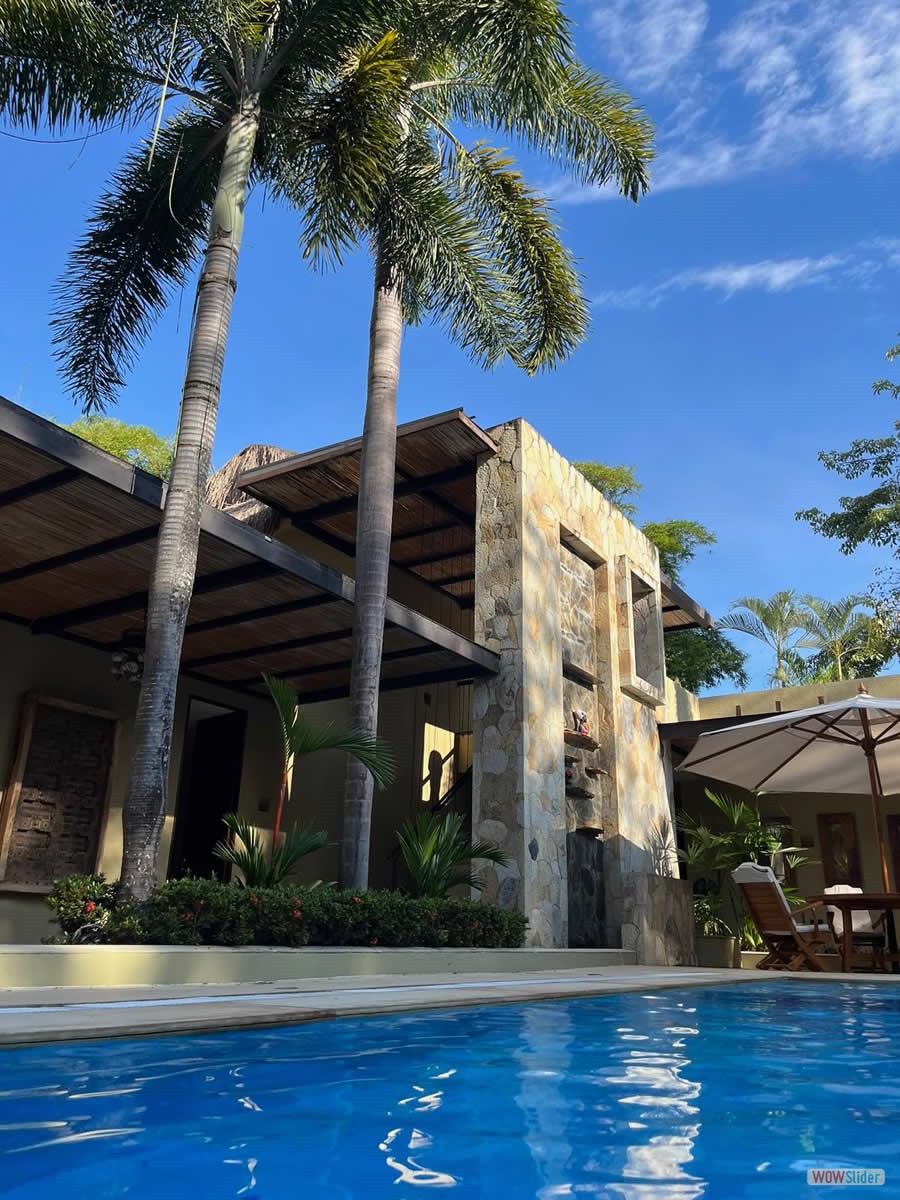 2_piscina_palmeras