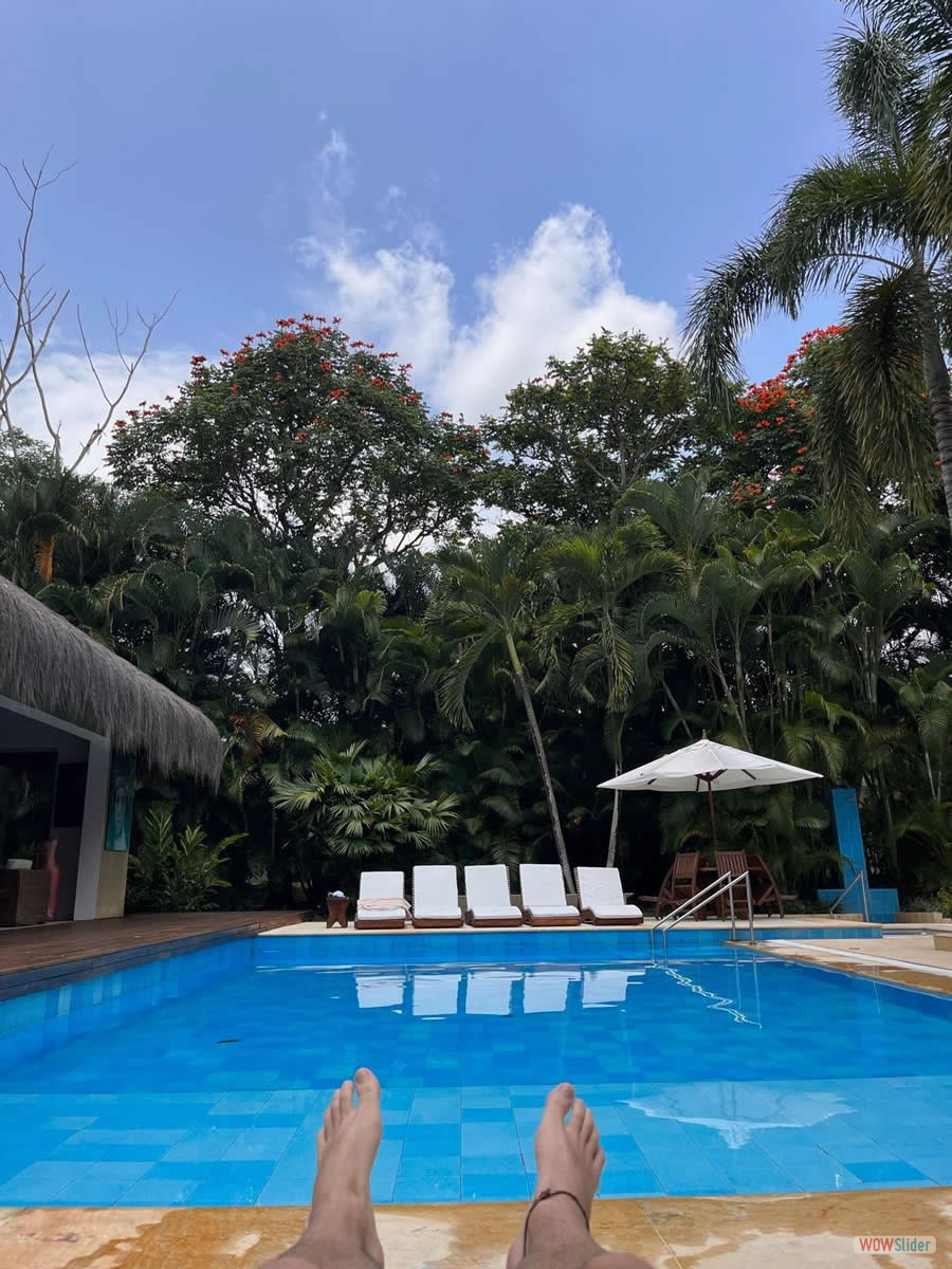 4_piscina_asoleadoras