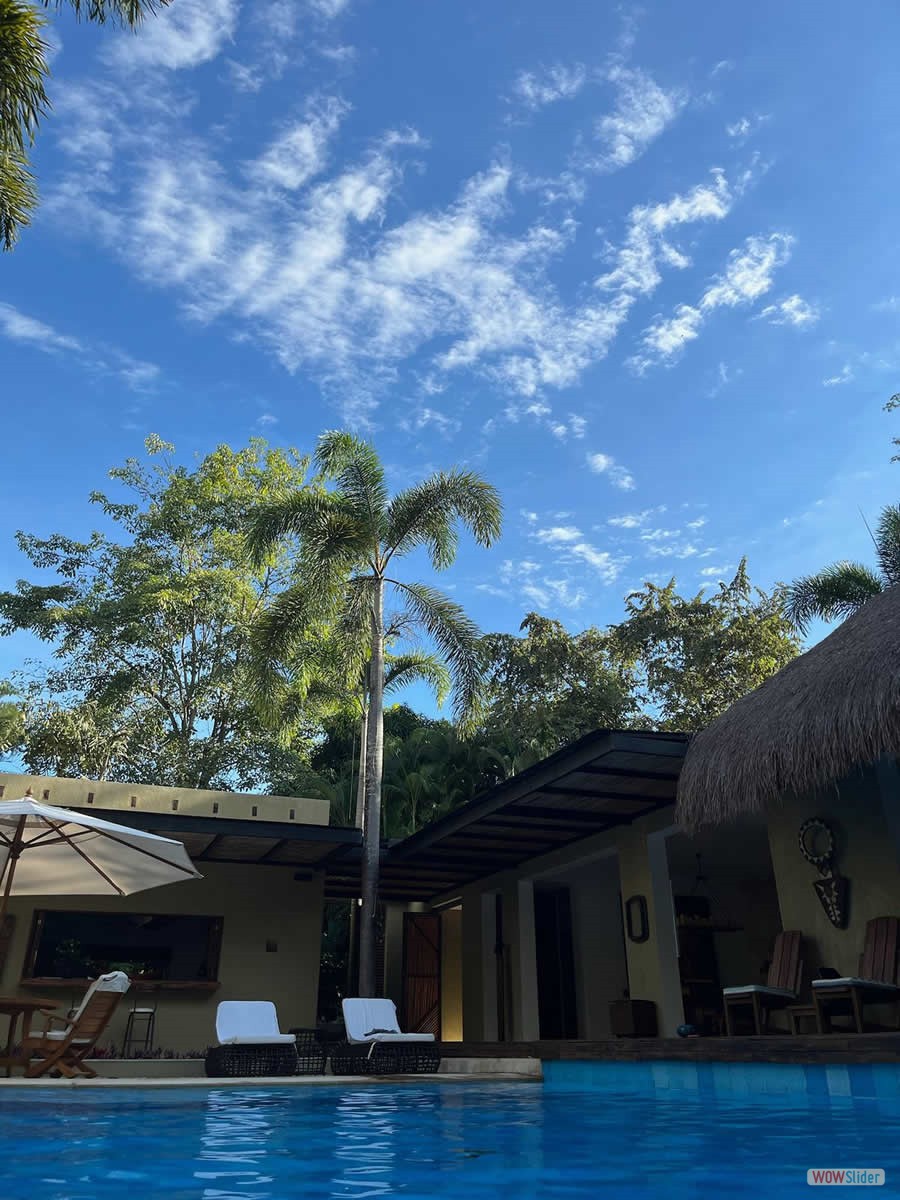 6_piscina_palmera