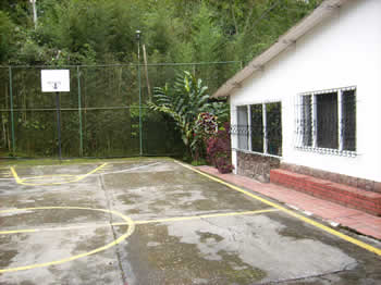 Ver imagen ampliada